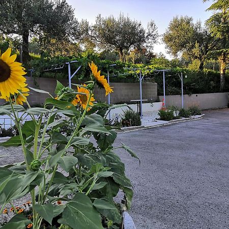 Rosemarin Lägenhet Koper Exteriör bild